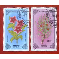 Монголия. Цветы. ( 2 марки ) 1986 года. 7-13.