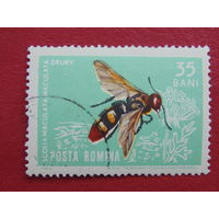 Румыния 1964 г. Пчела.