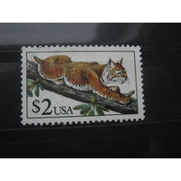 Марка - США, фауна дикие кошки рысь