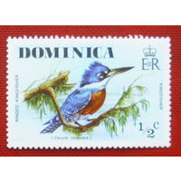 Доминика. Птицы. ( 1 марка ) 1976 года. 3-18.