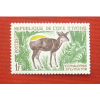 Кот-дивуар. Фауна. ( 1 марка ) 1964 года. 2-11.