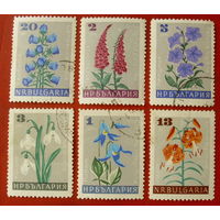 Болгария. Цветы. ( 6 марок ) 1966 года.