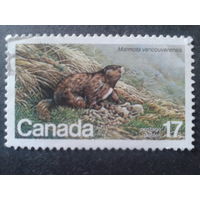Канада 1981 фауна