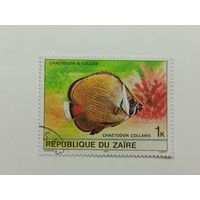 Конго (Заир) 1980. Тропическая рыба
