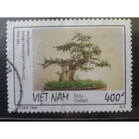 Вьетнам 1998 Бонсай