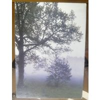 1987 год Туман