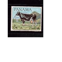 Панама-1967(Мих.959) ,  гаш., Корова, Фауна,