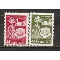 КГ Болгария 1956 Цветы