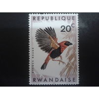 Руанда 1967 птица
