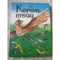 Король птиц - ирландские сказки саги и легенды \031
