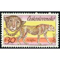 Чехословацкое сафари Чехословакия 1976 год 1 марка