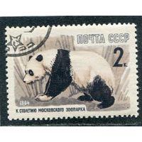 СССР 1964.. Бамбуковый медведь