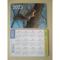 Карманный календарик . Белка. 2023 год