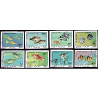 8 марок 1981 год Вьетнам Рыбки 1145-1152 U