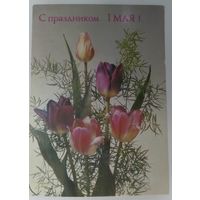 Открытка ,, с праздником 1 мая! ,, 1988 г. чистая.