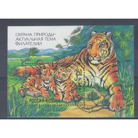 [1371] Россия 1992. Фауна.Охрана природы.Тигр. Гашеный блок.