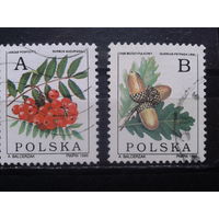 Польша, 1995, Стандарт, плоды деревьев, полная серия