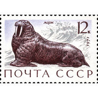 Морж СССР 1971 год 1 марка