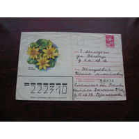 Конверт цветок чистяк весенний, марки СССР, штамп Молодечно