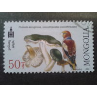 Монголия 2003 грибы и птица