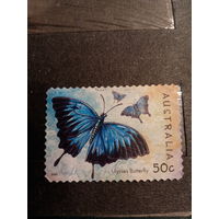 Австралия 2003. Бабочки. Ulysses Butterfly