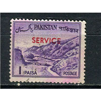 Пакистан - 1963/1970 - Надпечатка SERVICE на 1Р. Dienstmarken - [Mi.96d] - 1 марка. Гашеная.  (LOT Dj14)