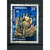 Французская Полинезия - 1978 - Кораллы 34Fr - [Mi.257] - 1 марка. Гашеная.  (Лот 65CQ)