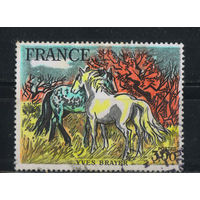 Франция 1978 Ив Брайер Камаргская лошадь #2131