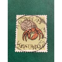 Австралия. Hermi Crab