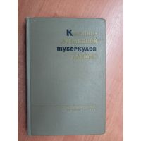 "Костно-суставной туберкулез у детей. Диагностика, клиника и лечение" под редакцией Зинаиды Ролье, Юлии Пикулевой