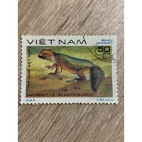 Вьетнам 1983. Рептилии. Uromastyx acanthinurus. Марка из серии