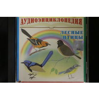 Аудиоэнциклопедия - Лесные Птицы (2005, CD)