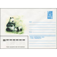 Художественный маркированный конверт СССР N 14078 (22.01.1980) [Большая панда]