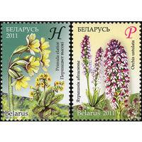Цветы Беларусь 2011 год (871-872) серия из 2-х марок