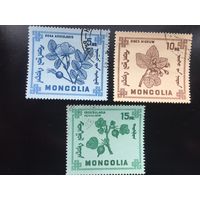 Монголия 1968 год. Ягоды
