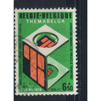 Бельгия Кор 1975 Международная филвыставка  ThemaBelge Зубцемер #1798