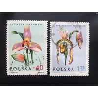 Польша 1965 год. Орхидеи