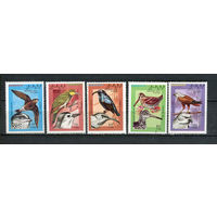Сахара - 1993 - Птицы - полная серия - 5 марок. MNH.  (LOT De46)
