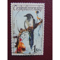 Чехословакия 1972 г. Птицы.