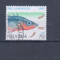 [1335] Швейцария 1997. Фауна.Рыбы. Гашеная марка.
