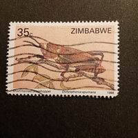 Зимбабве 1988. Кузнечик