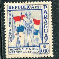 Парагвай. Солдат с флагом