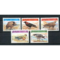 Сахара - 1993 - Птицы - полная серия - 5 марок. MNH.  (LOT De47)