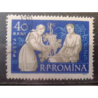 Румыния 1960 Виноделие, сбор винограда