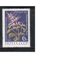 СССР-1972, (Заг.4041)  ** , Лекарственные растения