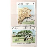 Коровы. 2 марки, 1984г.,гаш. Куба.