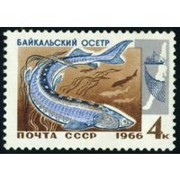 Рыбы Байкала СССР 1966 год 1 марка
