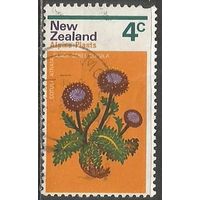 Новая Зеландия. Цветы. Астры. 1972г. Mi#584.