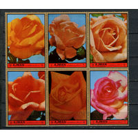 Аджман - 1972 - Розы - сцепка - [Mi. 2083-2088] - полная серия - 6 марок. MNH.  (Лот 86DR)