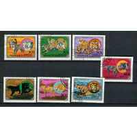 Монголия - 1979 - Хищные животные - [Mi. 1245-1251] - полная серия - 7 марок. Гашеные.  (LOT Du32)(BB)